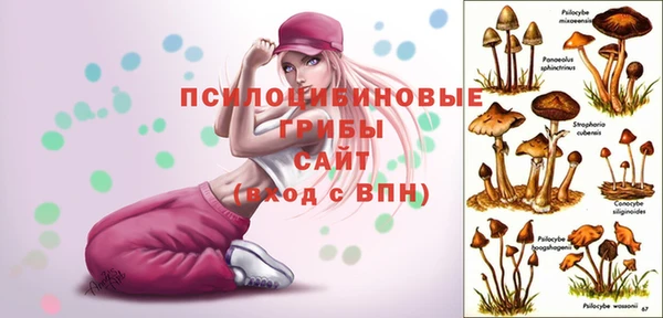прущая мука Абдулино