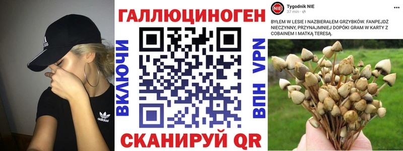 Галлюциногенные грибы Cubensis  Рыльск 